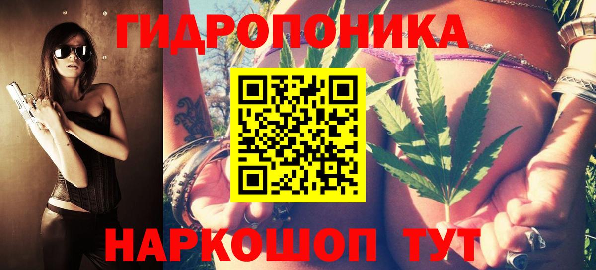 Конопля гибрид Ливны